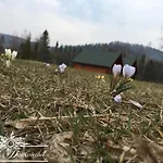 シャレー Zakatek Dziewiecsil *