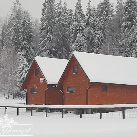 Zakatek Dziewiecsil *