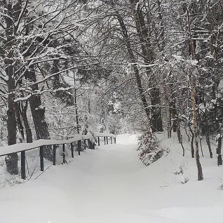 Chalet Zakatek Dziewiecsil Przyborow (Silesia)