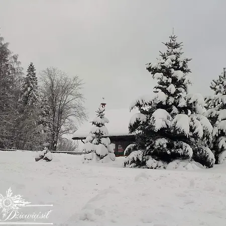 Zakatek Dziewiecsil *