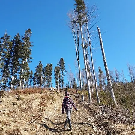 Zakatek Dziewiecsil