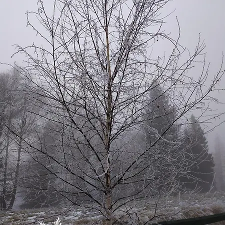 Шале Zakatek Dziewiecsil *