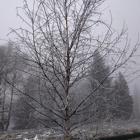 Chalet Zakatek Dziewiecsil *