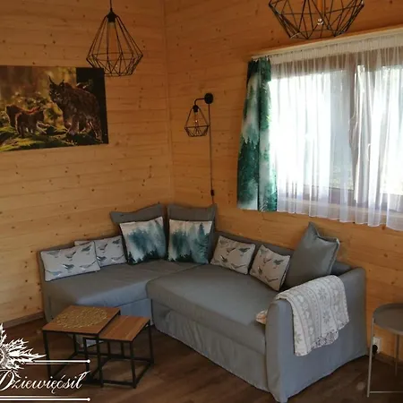 Zakatek Dziewiecsil * Przyborow (Silesia)