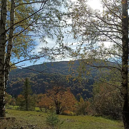 Chalet Zakatek Dziewiecsil Przyborow (Silesia)