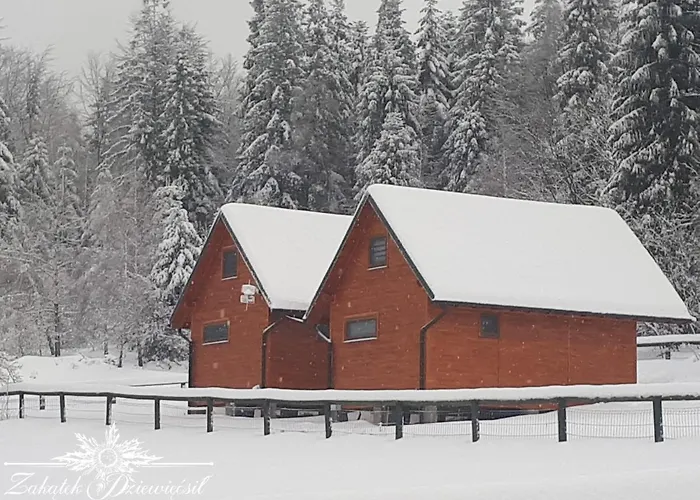 Zakatek Dziewiecsil *