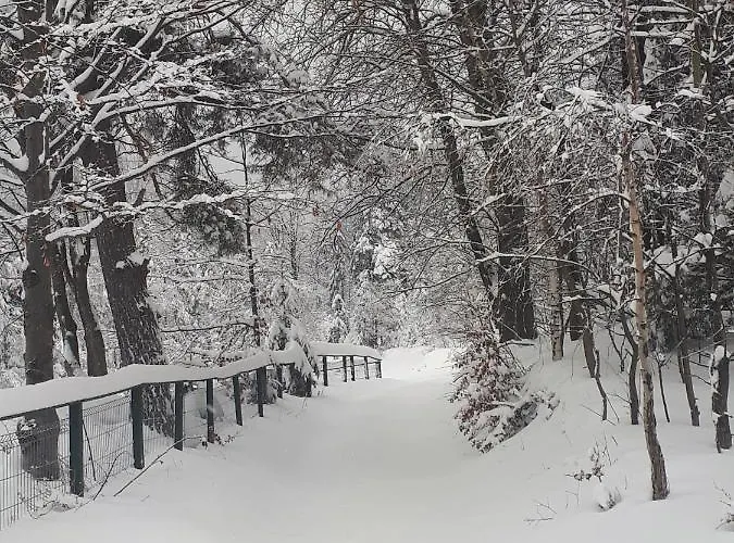 Chalet Zakatek Dziewiecsil Przyborow (Silesia)