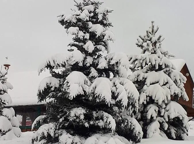 Zakatek Dziewiecsil Przyborow (Silesia)