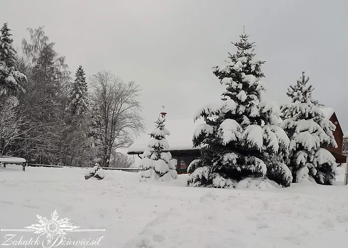 Zakatek Dziewiecsil *