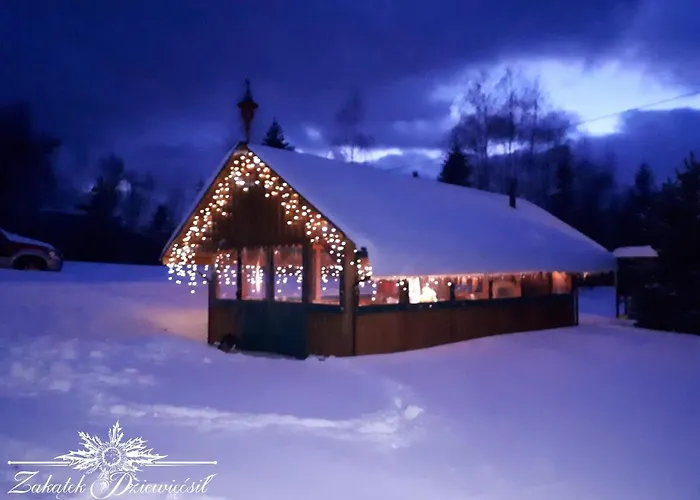 Zakatek Dziewiecsil בקתה