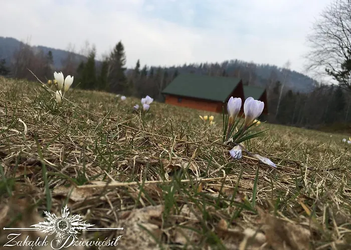 Chalet Zakatek Dziewiecsil *