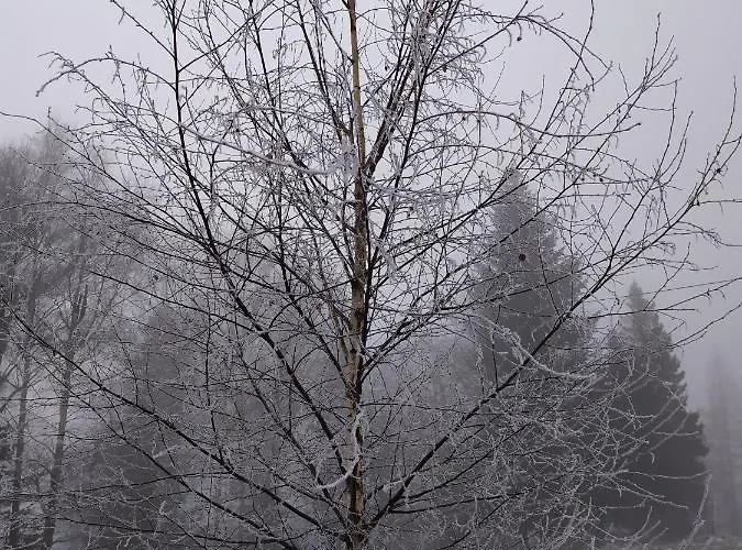 בקתה Zakatek Dziewiecsil *