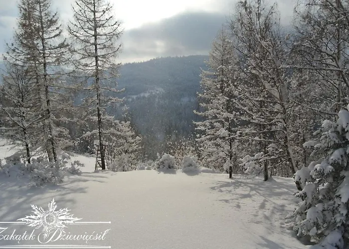 Zakatek Dziewiecsil בקתה Przyborow (Silesia)