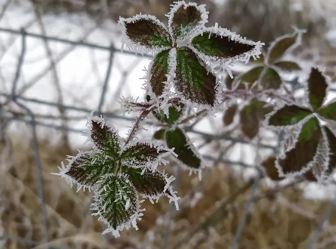בקתה Zakatek Dziewiecsil *